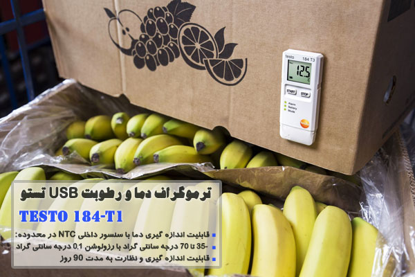 ترموگراف دما و رطوبت USB تستو مدل TESTO 184-T1