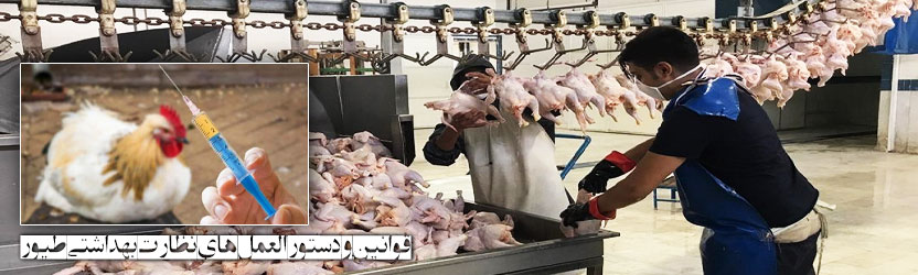 قوانین و دستور العمل های نظارت بهداشتی طیور