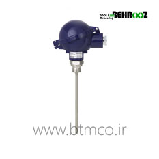 ترموکوپل هد دار میله ای ویکا مدل TC10-H
