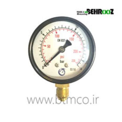 Pressure-Gauge-16-Bar-Dragon