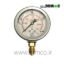 Pressure-Gauge-400-Bar-Dragon