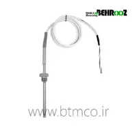 RTD-Thermometer-Temperature-Cable-Probe-Endress-Hauser-TST310